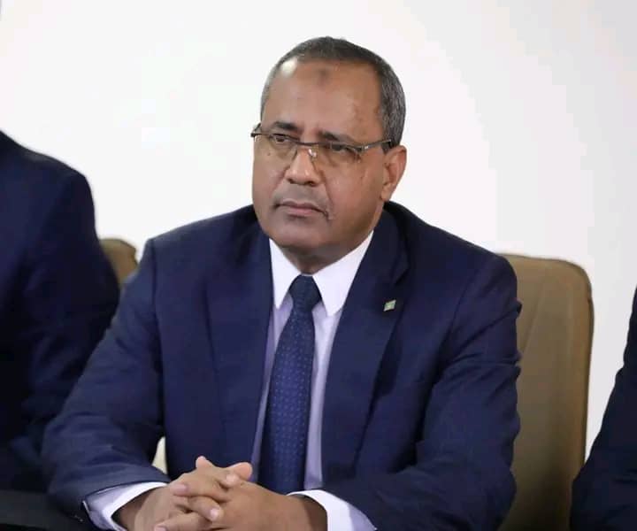 وزير الزراعة: موريتانيا تضم 2.8 مليون نخلة وإنتاجها السنوي يبلغ 25 ألف طن من التمور